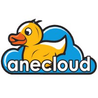 anecloud logo - Similar company to Qloudea