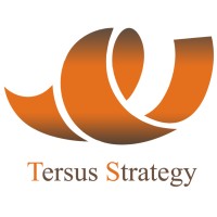Tersus Strategy logo - Similar company to Azure Communication