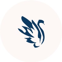 Ant sparnų logo - Similar company to Vynvytis Studio