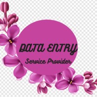 Amin DATA ENTRY Services logo - Similar company to I Will Do Data Entry, Internet Research, And Data Analysis