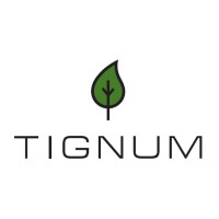 Tignum Furniture logo - Similar company to Drewsystem Group