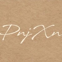 PNJXN logo - Similar company to Cxihub