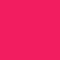 Pink Roses logo - Similar company to Set The Set