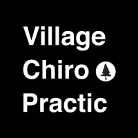 VILLAGE CHIROPRACTIC logo - Similar company to Carson And Bear Dog Wellness Program