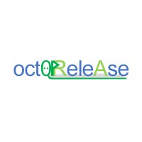 OctoRelease logo - Similar company to Dutch Valley Group