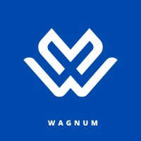 Wagnum Technologies logo - Similar company to Fascinate It