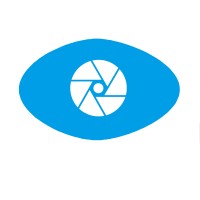 Visionalyst logo - Similar company to Agileview Inc