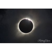 Bright Castle LLC logo - Similar company to Aqar Fair - Iraq