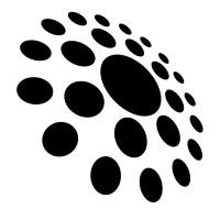 Raidious logo - Similar company to Bart Fish: Design Studio