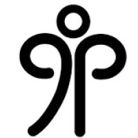 9-Pins.com - A Technology Consulting Company logo - Similar company to Digital Pramod - Digital Marketing & Website Designing Company