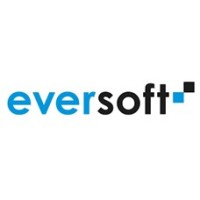 Eversoft logo - Similar company to Eversoft Group