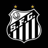 Santos Fútbol Club logo - Similar company to Hibe