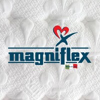 Magniflex Macedonia logo - Similar company to Word Fella