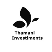 Thamani Investments B.V. logo - Similar company to Bridge International