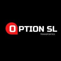 Option logo - Similar company to Reed City Group