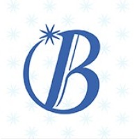 Brilliant Events logo - Similar company to Psv Event