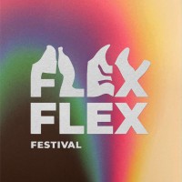 Flex Festival logo - Similar company to Cinescene