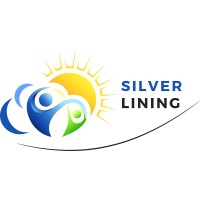 Project Silver Lining logo - Similar company to Beige Market Intelligence