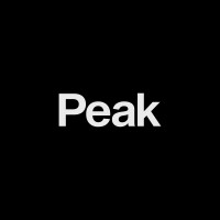 Peak UI/UX Design logo - Similar company to Design System Starter