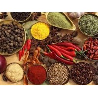 Spices Corner logo - Similar company to Fusion By Malbriz