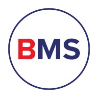 The British Motor Show logo - Similar company to Daily Driven Events