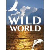 WildWorld B.V.