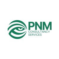 PNM Consultancy Services (P) Limited logo - Similar company to Cysdat India Private Limited