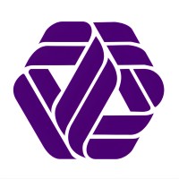 MindBridge Automation logo - Similar company to Tecnophi Information Technology
