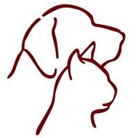 Abc Veterinary Clinic Of Lewisville, P.C.