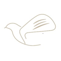 AnyBirdie Golf logo - Similar company to Absolute Trust & Estate