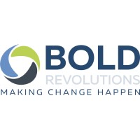 Bold Revolutions logo - Similar company to Vaccinationtrack