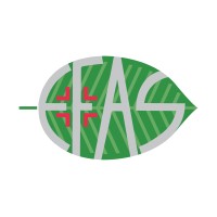 E.FA.S. S.P.A. logo - Similar company to Rafimed Srl