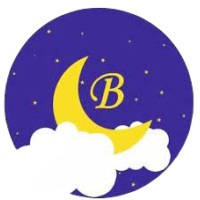 BERDAN MEDİKAL SAĞLIK TIBBİ CİHAZLAR SAN. VE TİC.LTD.ŞTİ logo - Similar company to Ayb Industries