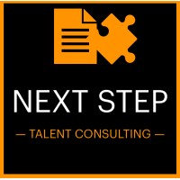 Next Step Talent Consulting logo - Similar company to Alize Digital