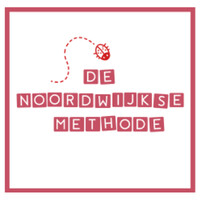 Stichting De Noordwijkse Methode logo - Similar company to Actief Leren Lezen
