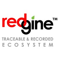 Redgine logo - Similar company to Smart Digital Solutions