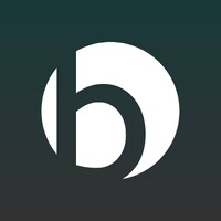 Bellucci Pro logo - Similar company to Ala/34