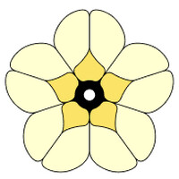 Data.Flowers logo - Similar company to 1O Inc.