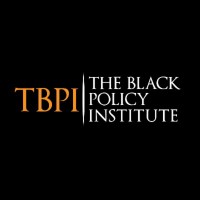 The Black Policy Institute logo - Similar company to Black Futures Lab