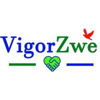 VigorZwe Co. Ltd logo - Similar company to Myanmar Data Tech