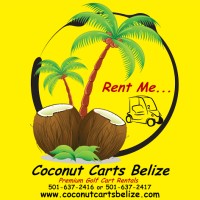 Coconut Management Belize - Premium Travel Services logo - Similar company to 4 The World Belize