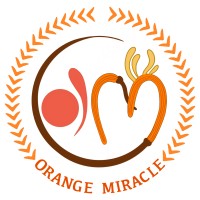 Orange Miracle logo - Similar company to Skillberry