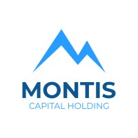Montis Capital logo - Similar company to Montis Capital