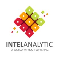 IntelAnalytic logo - Similar company to Data'Oro Consulting