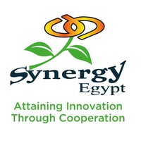 Synergy egypt 