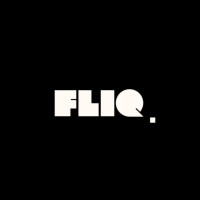 Fliq AI logo - Similar company to Mettricks