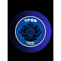 Turner Fenton Model Parliament logo - Similar company to Voices Of The World