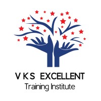 VKS Excellent Training Institute logo - Similar company to We Win Training Institute
