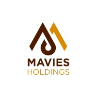 Mavies Holdings (SO) logo - Similar company to Dream Developers