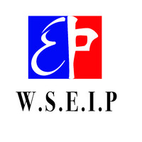 Wseip logo - Similar company to Deltaplus Europe